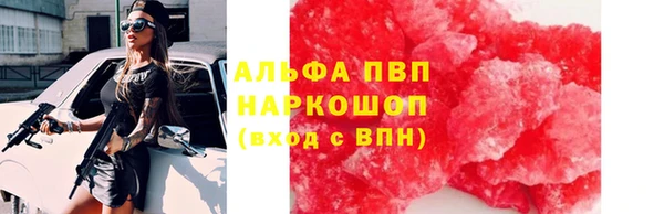 гидра Аркадак