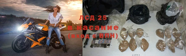 гидра Аркадак