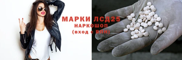 гидра Аркадак