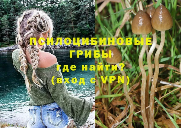 спиды Армянск
