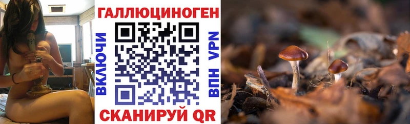 где купить наркоту  Наволоки  Псилоцибиновые грибы Magic Shrooms 