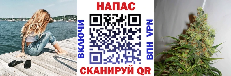 Конопля марихуана  Наволоки 